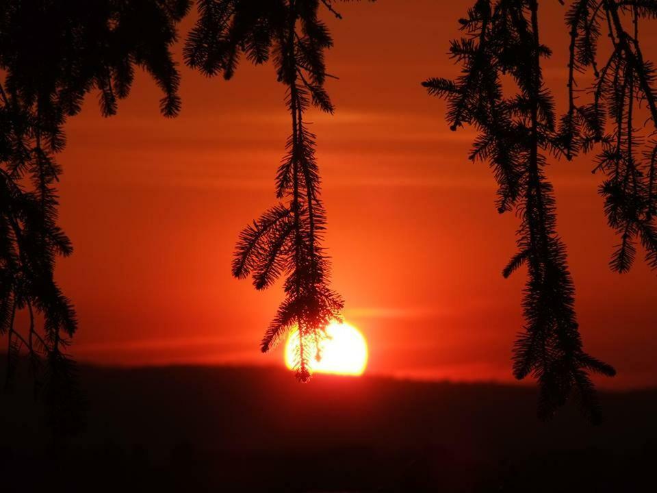 Podere Val Di Gallo Poggibonsi Bagian luar foto